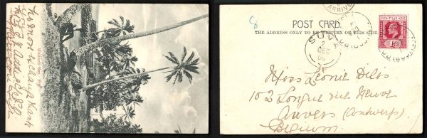 GB 1906 PPC WAIOVU Bay, to Antwerp franked KE7 1d red