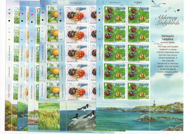 Alderney 2014 Ladybirds set of 6 in um sheetlets of 10 - seldom seen