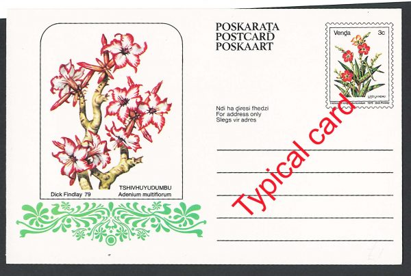 Venda 1980 5c Postal Card x8 all with different flowers fine unused, ditto 1979