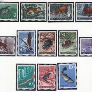 #995 Yugoslavia 1954 Animals set of 12 um sg795-776 um c£160