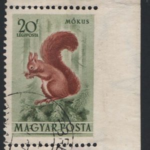 #778 Hungary 1953 20f squirrel sg1271 ERROR imperf between stamp & right margin fu