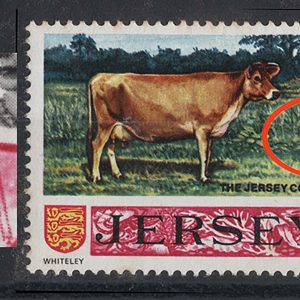 #617 Jersey 1971 5½p definitive: variety broken frame left of Queen um