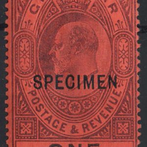 #841 Gibraltar 1903 £1 dull purple & black/red wmk CA ovpt specimen vf mint sg55s